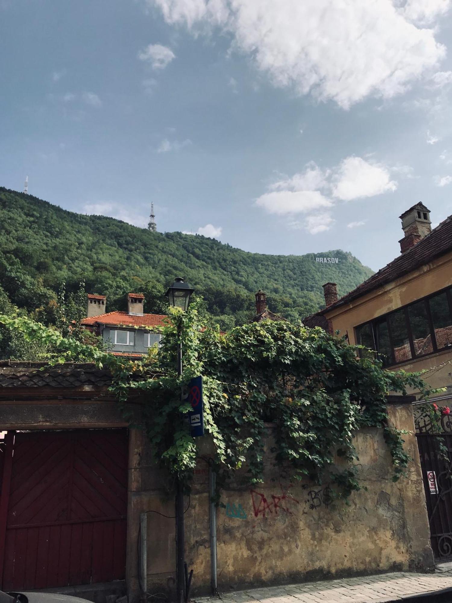 Lovely Brasov Flat With Patio And Mountain Views Eksteriør bilde
